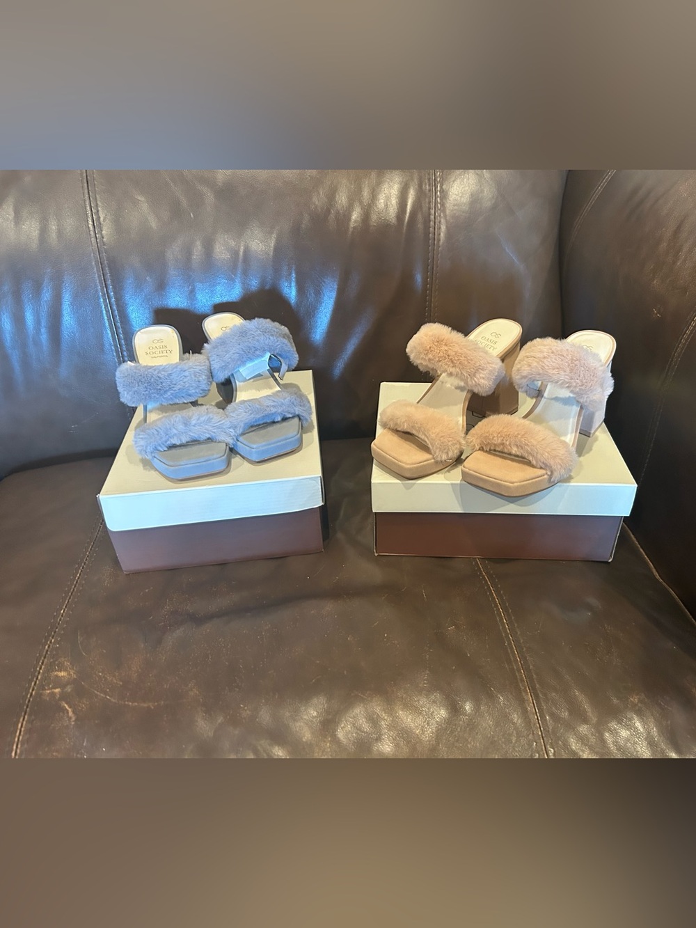 Women oasis society bundle size 6 & 7